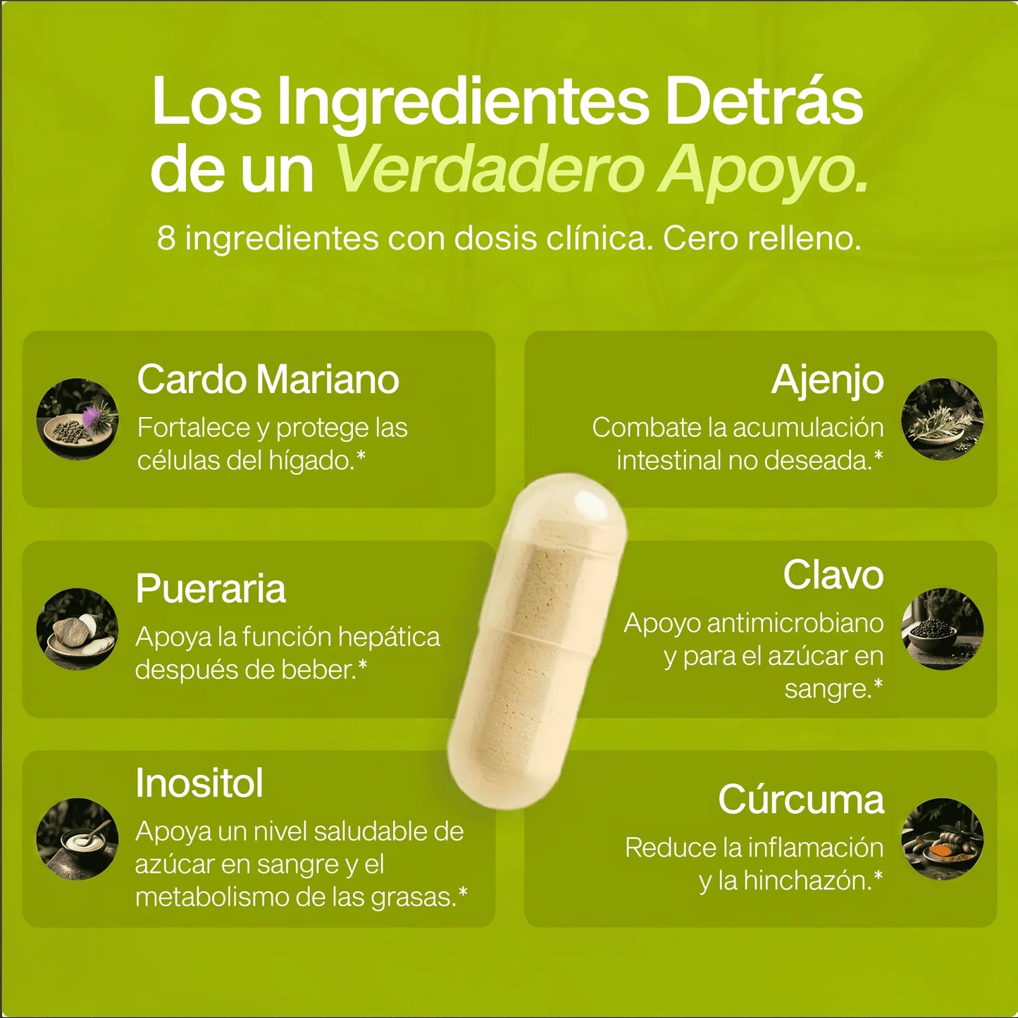 Nutrola® Cardo Mariano Premium | Apoyo Integral para la Salud Hepática