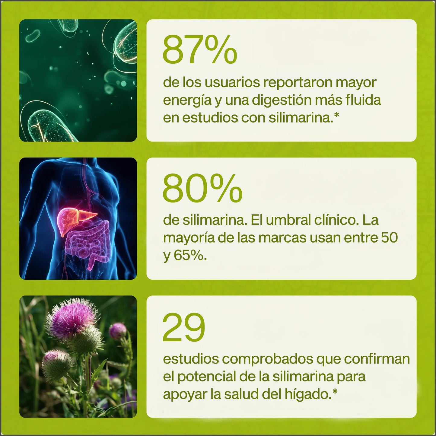 Nutrola® Cardo Mariano Premium | Apoyo Integral para la Salud Hepática