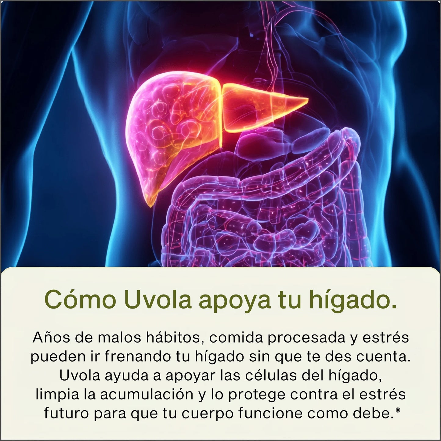 Nutrola® Cardo Mariano Premium | Apoyo Integral para la Salud Hepática