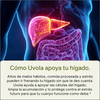 Nutrola® Cardo Mariano Premium | Apoyo Integral para la Salud Hepática